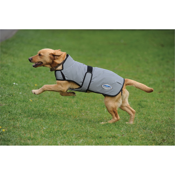 Weatherbeeta Comfitec Reflective Dog Coat - Silver
